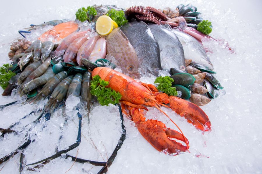 CONSUMPTION OF FISH AND SHELLFISH – ARE THEY FREE FROM TOXICITY?