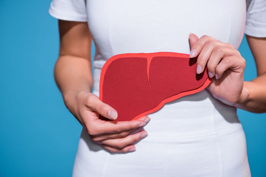 0000800 cropped shot of woman holding paper crafted liver 2022 12 16 19 32 38 utc 900