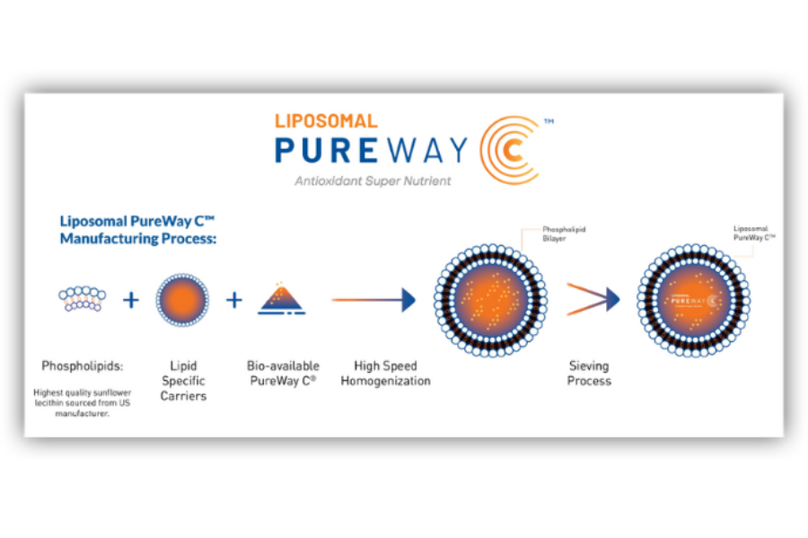 Blog What is Liposomal Vitamin C?