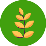 Daily Supplementation For Vegetarian & Vegan