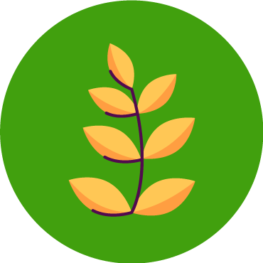 daily supplementation