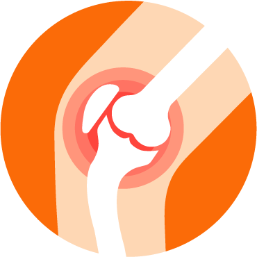 joint, muscle & bone health